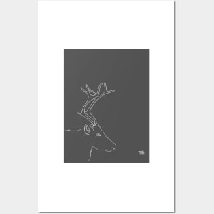 Reindeer Posters and Art